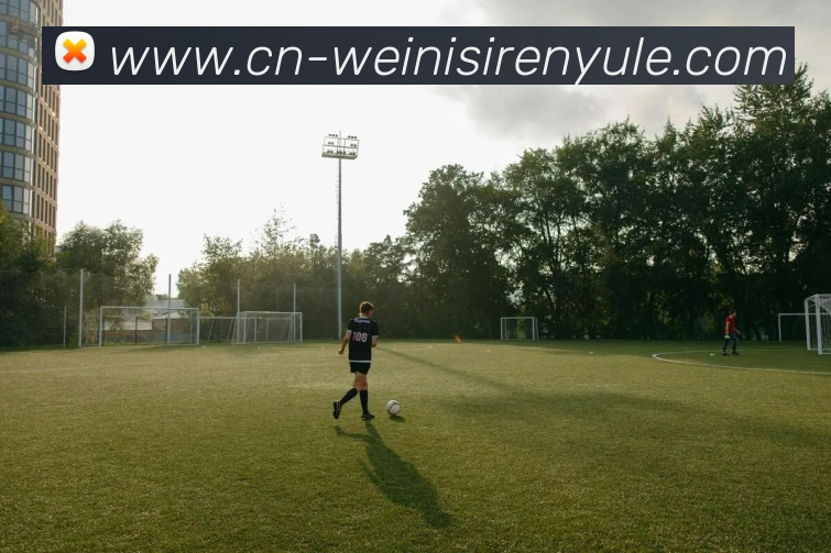 多媒体互动体验